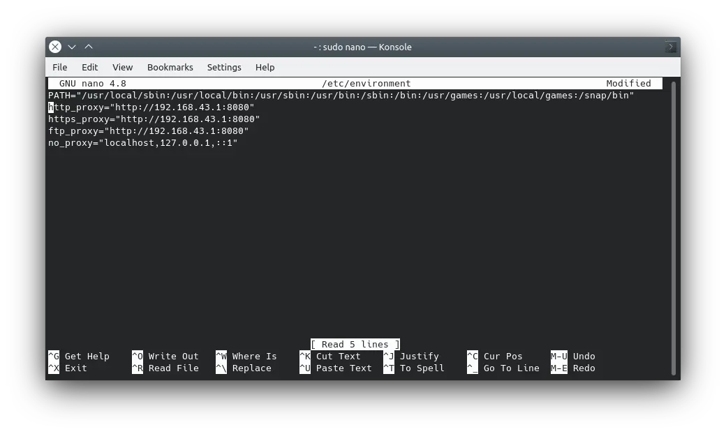 Terminal Display When Setting Proxy Settings