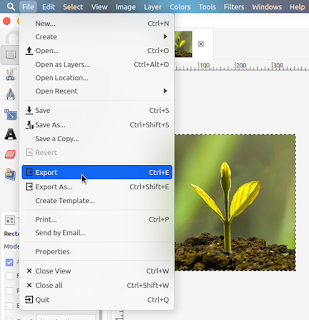 How to Crop an Image With GIMP - Fourth