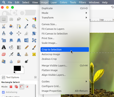 How to Crop an Image With GIMP - Third